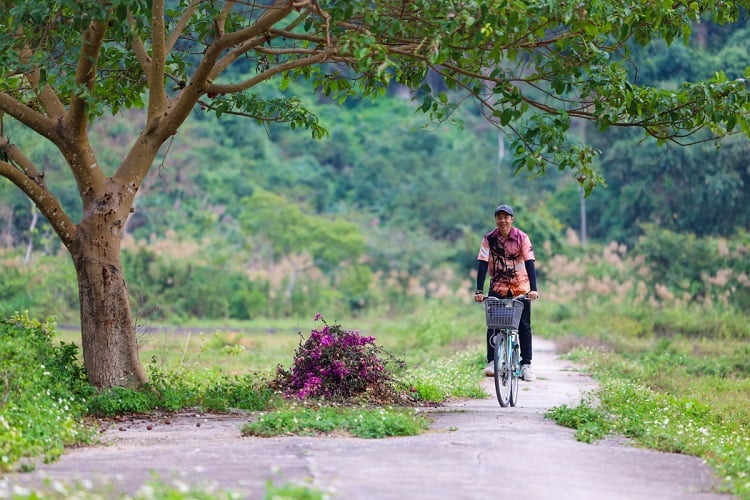 Hình ảnh này mô tả một người đàn ông đang đi xe đạp trên con đường nhỏ bên cạnh cây cối xanh mát và cảnh quan thiên nhiên yên bình.