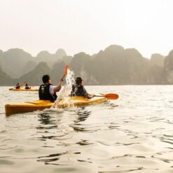 Du Thuyền Hạ Long 1 Ngày