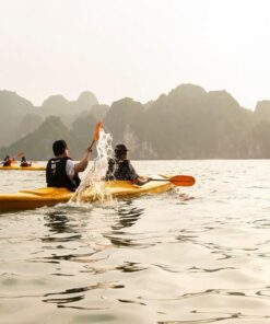 Du Thuyền Hạ Long 1 Ngày