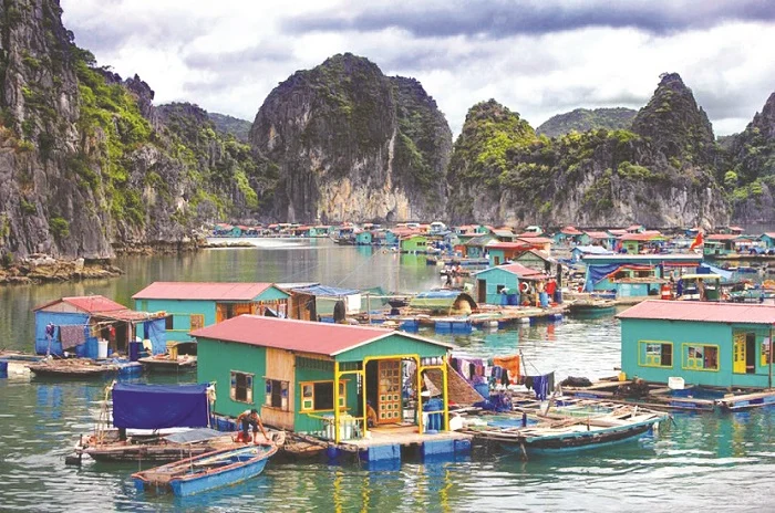 Làng Chài Vung Viêng – Khám Phá Ngôi Làng Nổi Bình Yên Giữa Vịnh Bái Tử Long 3 lang chai vung vieng 2