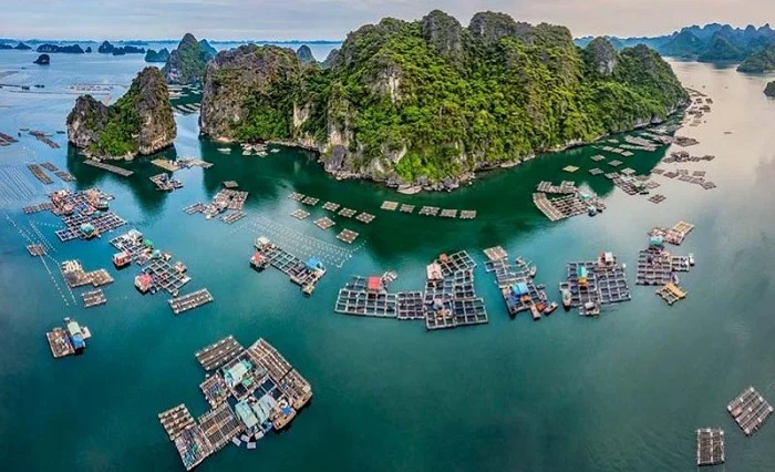 Làng Chài Vung Viêng – Khám Phá Ngôi Làng Nổi Bình Yên Giữa Vịnh Bái Tử Long 2 lang chai vung vieng